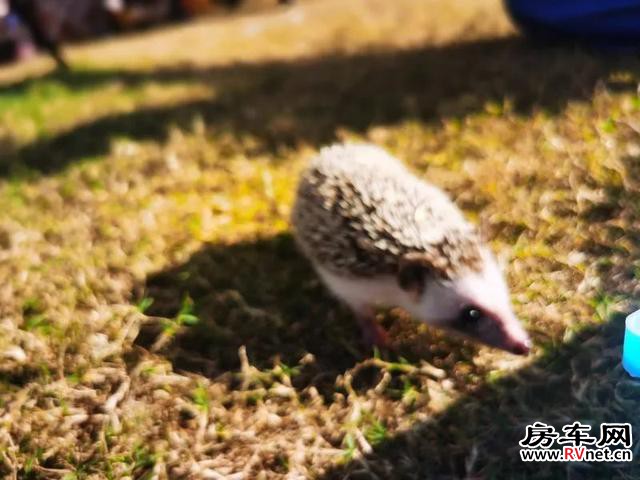 1635077012754583.jpeg 2.jpeg