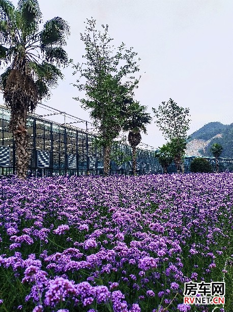 房车网 房车网