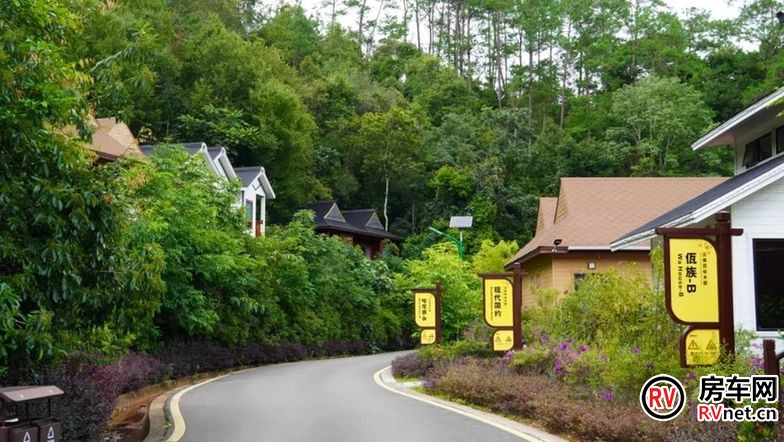 美好生活在云南 | 旅居+康养 住在森林探秘境 美好生活在云南 | 旅居+康养 住在森林探秘境