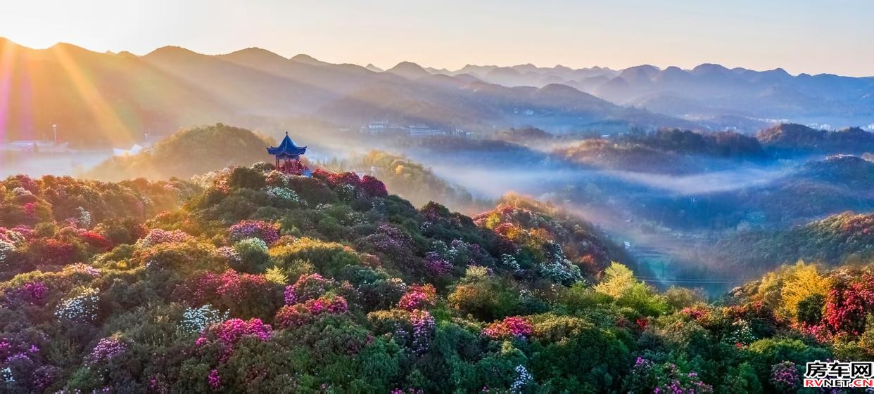 房车网 房车网