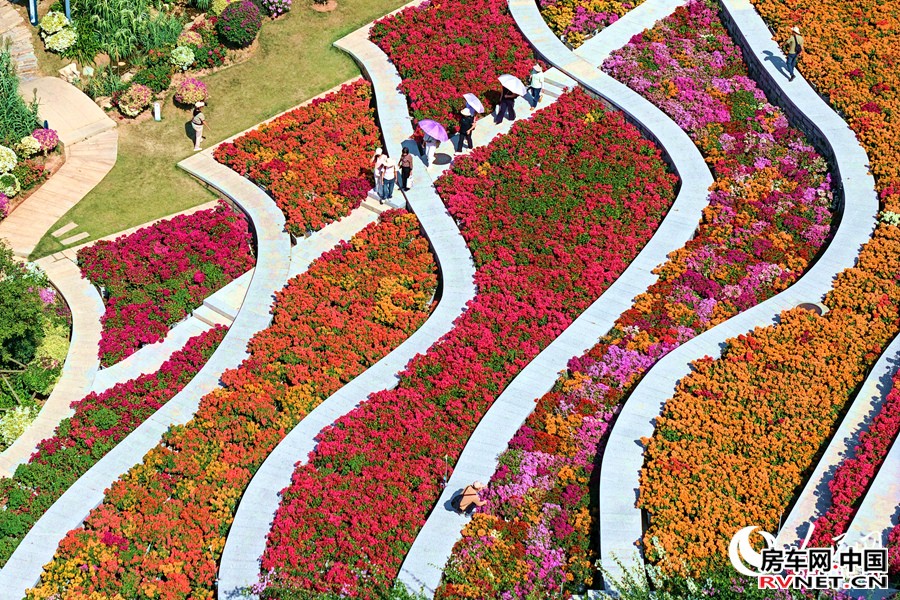 市民游客在花海中漫步。人民网记者 陈博摄