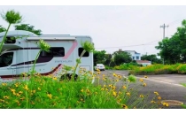 路过武汉郊区一座房车基地，环境清幽像景点，还能免费补充水电