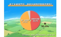 年轻人为什么爱上乡村综艺？