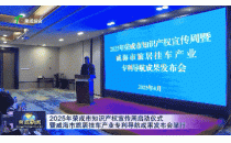 房车出口占全国70%？看荣成如何用专利导航擦亮产业名片