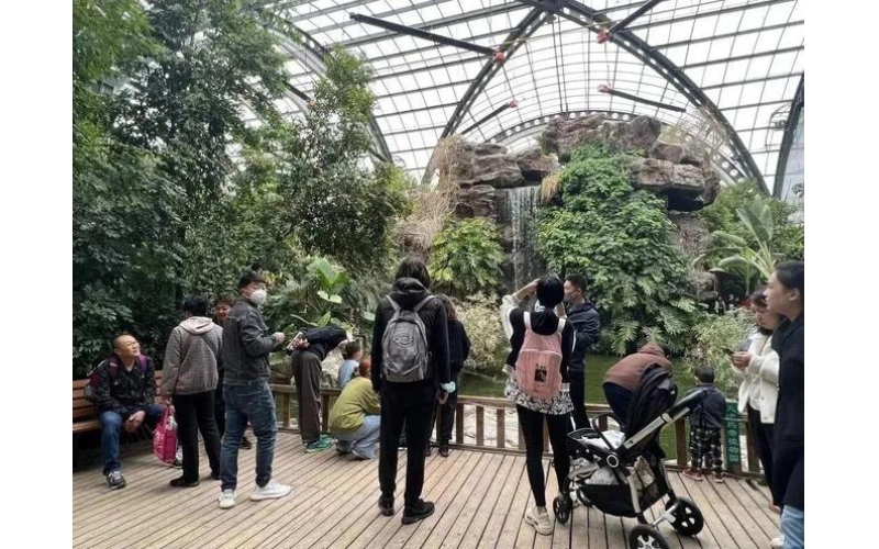 一顶帐篷、一张天幕、一辆房车，天津这个露营公园开园啦