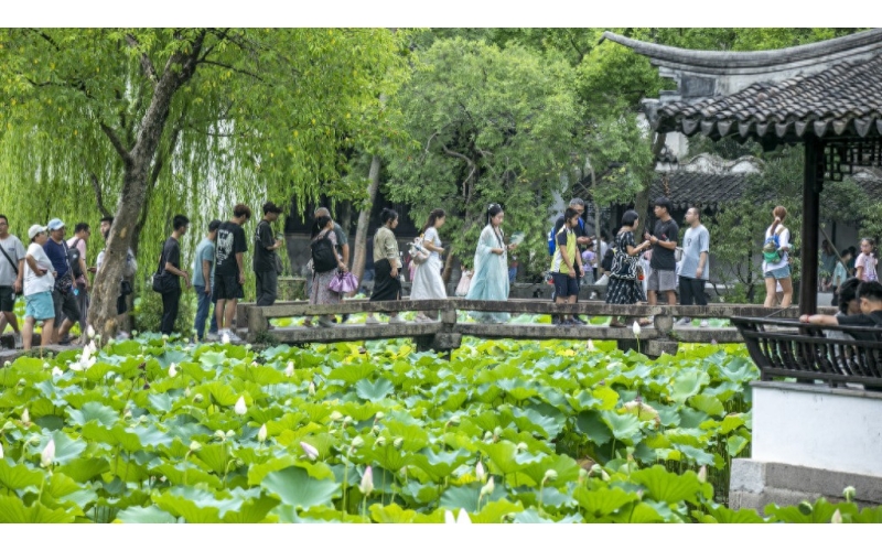 暑期旅游高峰来临：亲子家庭是出游主力军，大学生“特种兵式”旅游热度下降