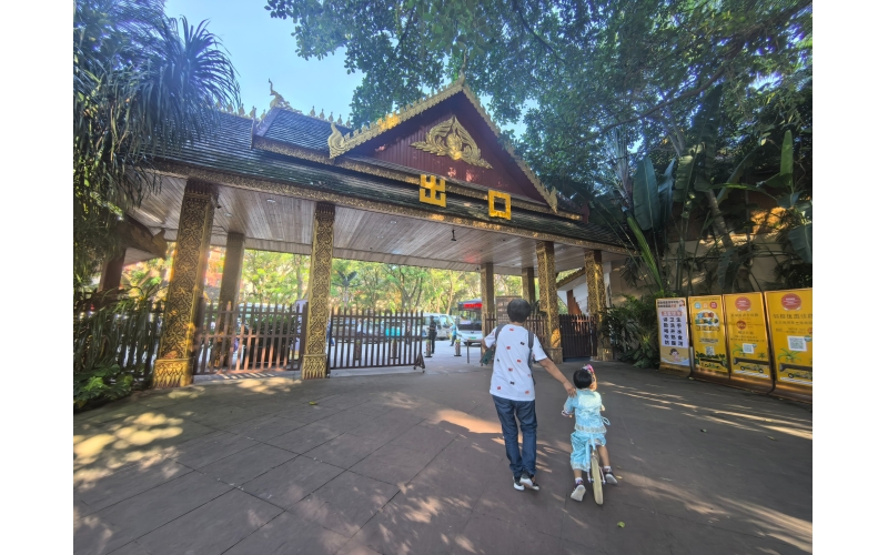 游览云南西双版纳傣族自治州景洪市曼听御花园 曼听公园3-3