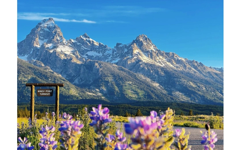 美国家公园实行“美国优先” 对外国游客涨价